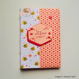 Mini album double accordéon – vue d’ensemble extérieur fermé